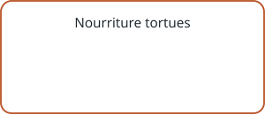 Nourriture tortues